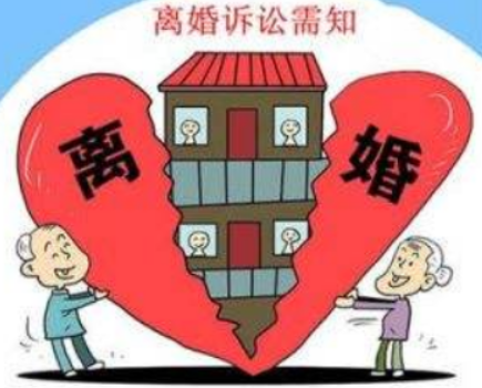 诉讼离婚需要什么手续及